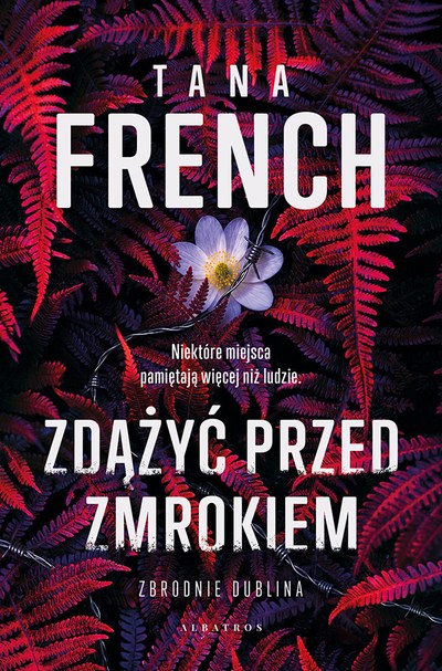 Okładka: Zdążyć przed zmrokiem — Tana French